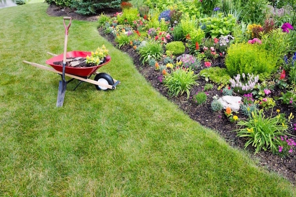 Outdoor Chores to Do Before Selling