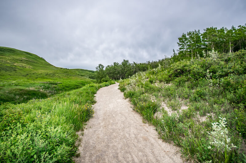 Enjoy One of Many Glenbow Ranch Provincial Park Trails