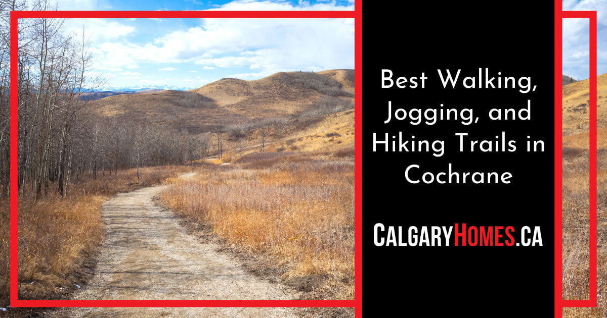 Best Walking and Jogging Trails in Cochrane