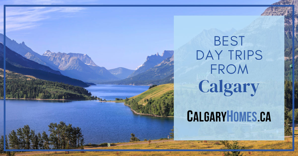 Best Day Trips From Calgary