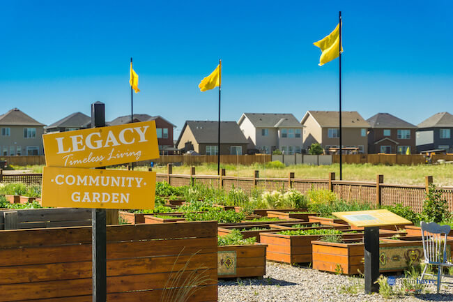 Legacy Community Garden, Calgary AB