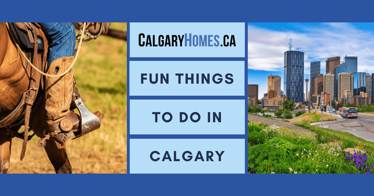 Fun Things to Do in Calgary