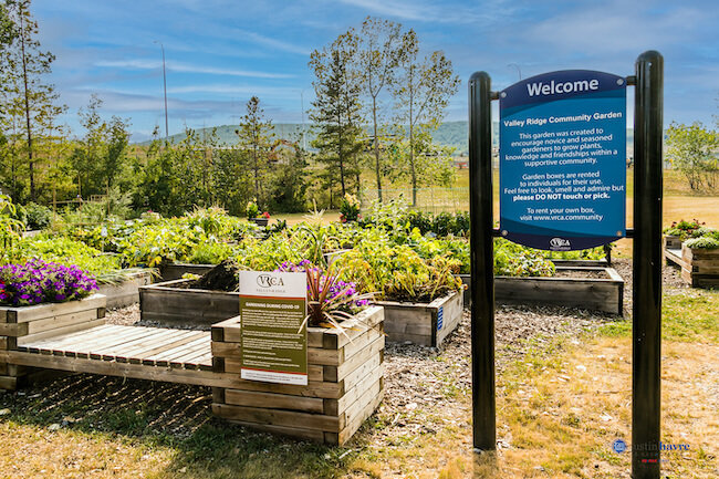Valley Ridge Community Garden, Calgary AB