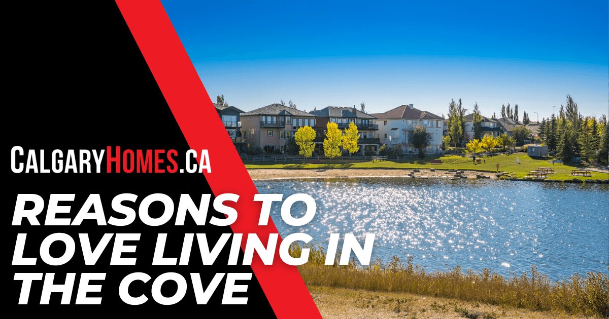 What it's Like to Live in The Cove