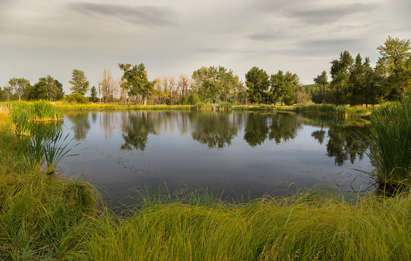 The McKenzie Lake Neighbourhood Includes Fish Creek Provincial Park